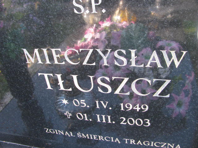 Mieczysław Tłuszcz 1949 Strzelin - Grobonet - Wyszukiwarka osób pochowanych