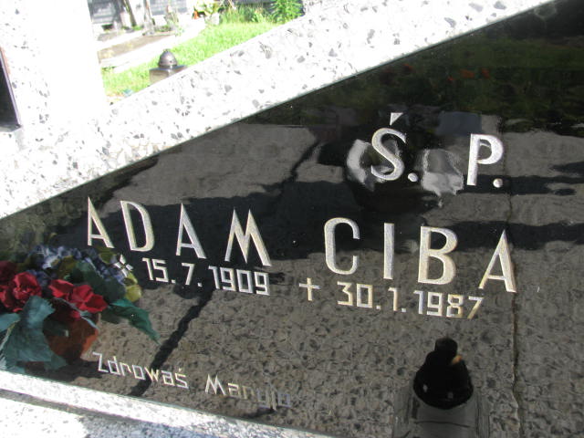 Adam Ciba 1909 Strzelin - Grobonet - Wyszukiwarka osób pochowanych