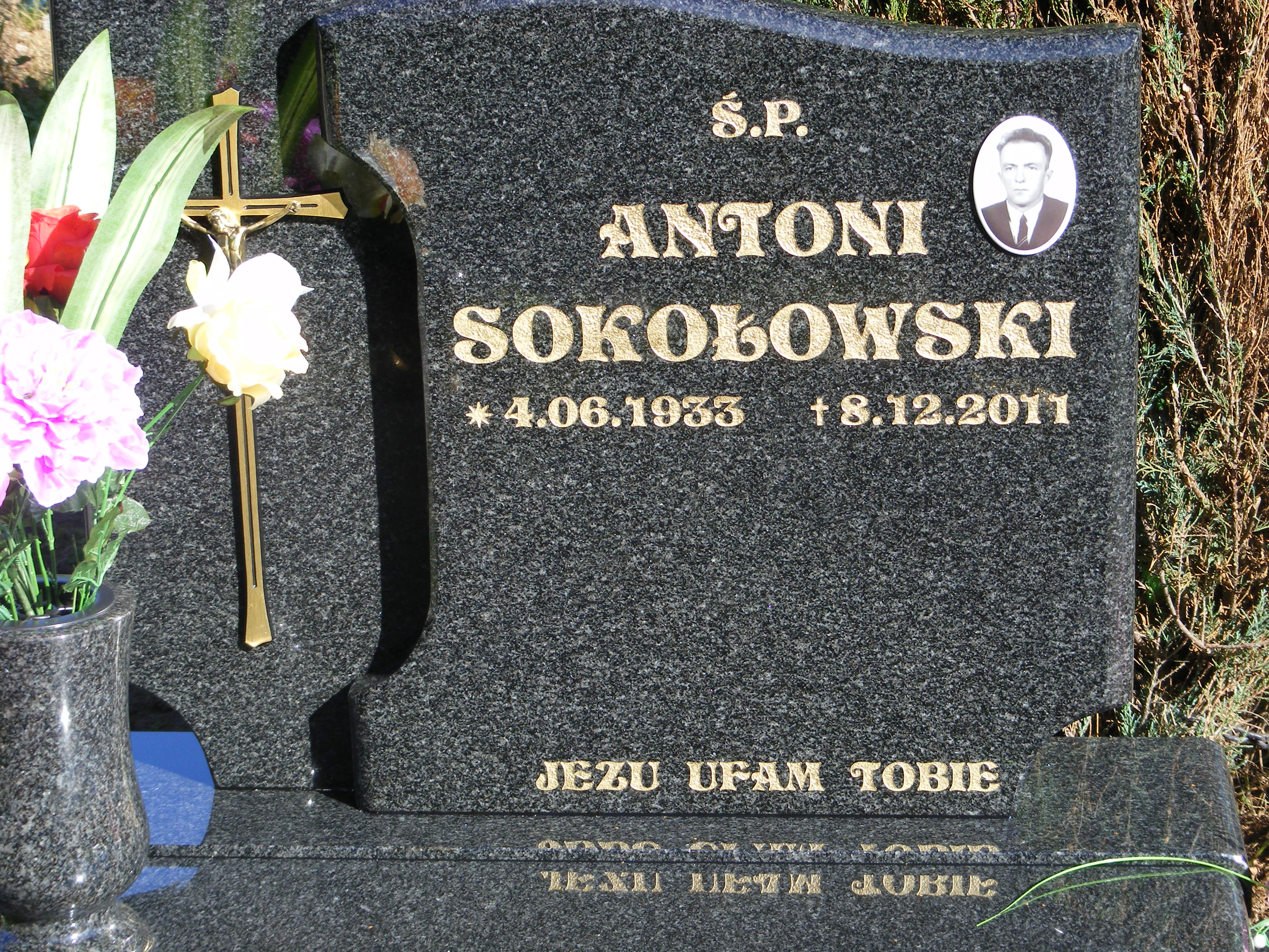 Antoni SOKOŁOWSKI 1933 Strzelin - Grobonet - Wyszukiwarka osób pochowanych