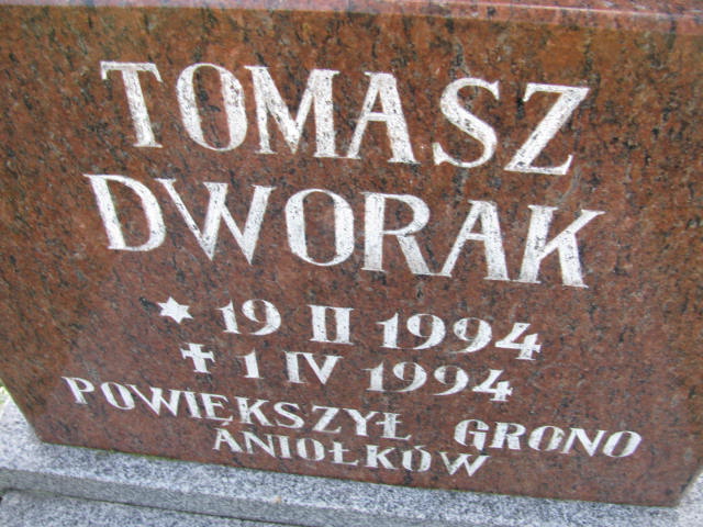 Tomasz Dworak 1994 Strzelin - Grobonet - Wyszukiwarka osób pochowanych