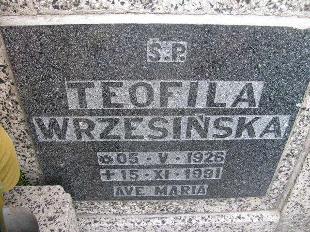 Jan Wrzesiński 1925 Strzelin - Grobonet - Wyszukiwarka osób pochowanych