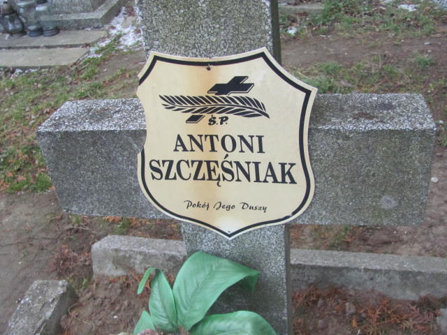 Antoni Szczęśniak 1889 Strzelin - Grobonet - Wyszukiwarka osób pochowanych