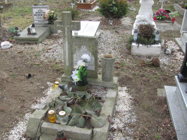  - Grobonet - kup kwiaty