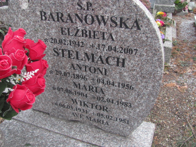 Wiktor Stelmach 1931 Strzelin - Grobonet - Wyszukiwarka osób pochowanych