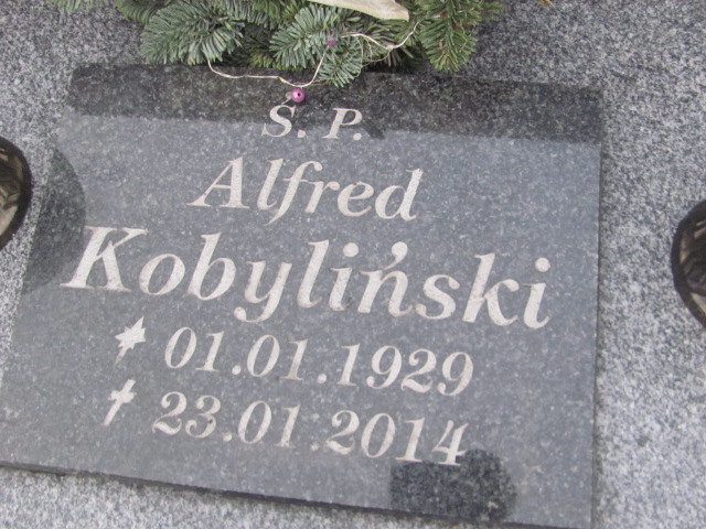 Maria Bijak 1893 Strzelin - Grobonet - Wyszukiwarka osób pochowanych