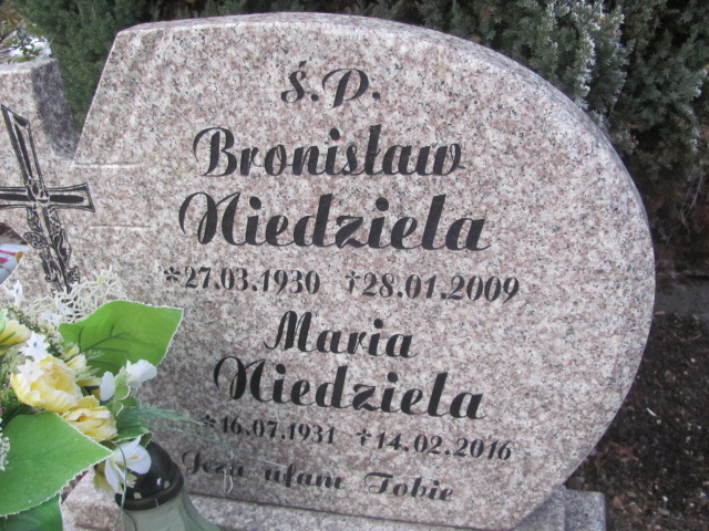 Adam SULIKOWSKI 1982 Strzelin - Grobonet - Wyszukiwarka osób pochowanych