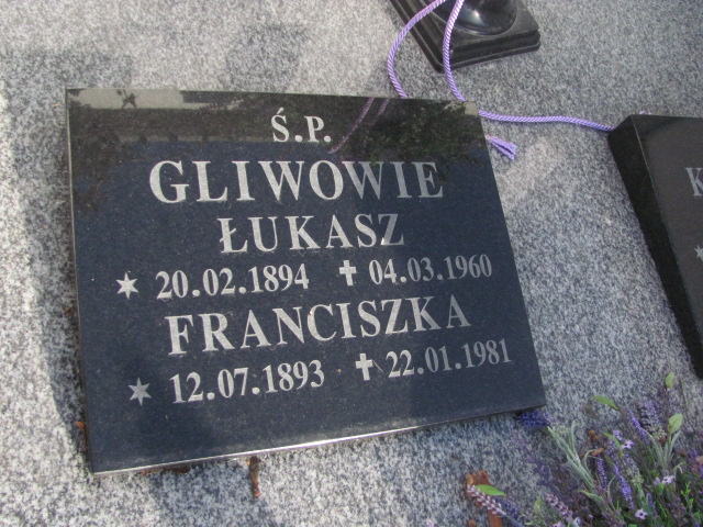 Maria Krzewska 1924 Strzelin - Grobonet - Wyszukiwarka osób pochowanych