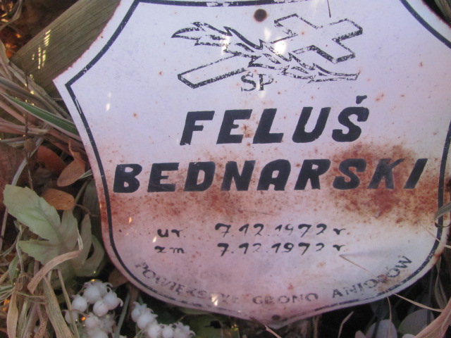 Feliks Bednarski 1972 Strzelin - Grobonet - Wyszukiwarka osób pochowanych