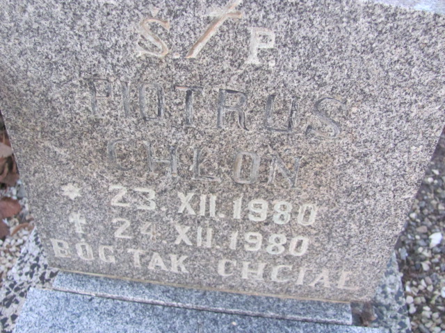 Piotr Chłoń 1980 Strzelin - Grobonet - Wyszukiwarka osób pochowanych