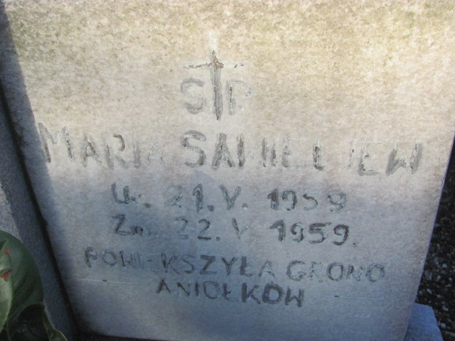 Maria Sawie..ew 1959 Strzelin - Grobonet - Wyszukiwarka osób pochowanych