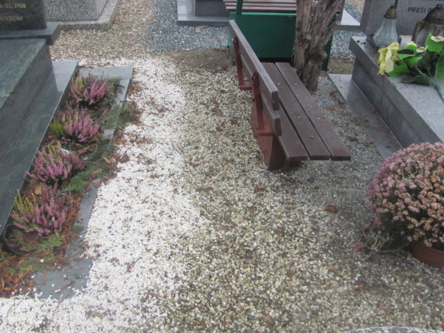 Olga Sznajder 1898 Strzelin - Grobonet - Wyszukiwarka osób pochowanych