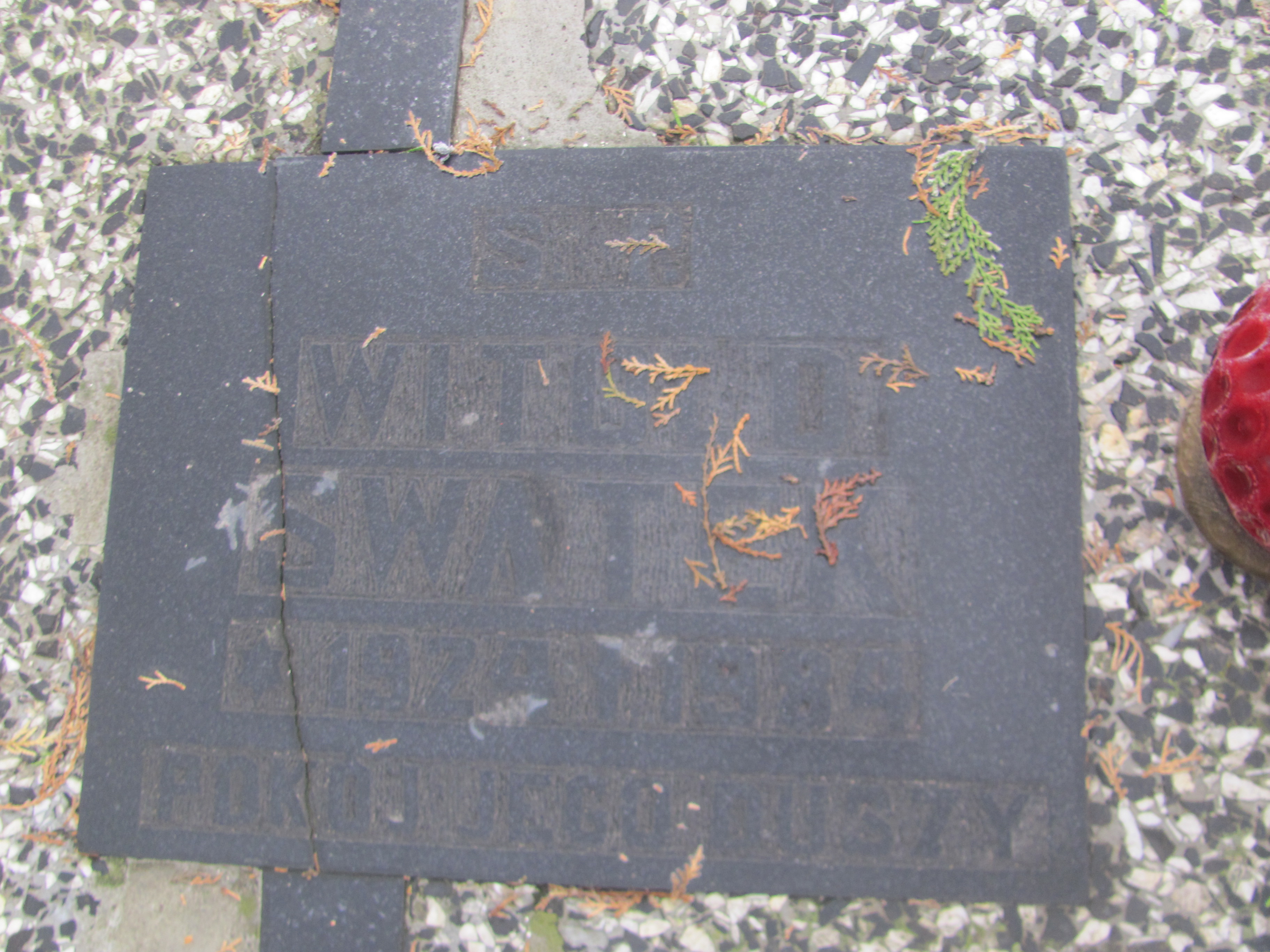 Elżbieta MAJCHRZAK 1951 Strzelin - Grobonet - Wyszukiwarka osób pochowanych